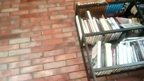 Snapshot of lllukasssxxx chatting on November 1, 9:35 am lllukasssxxx online show from November 1, 9:35 am