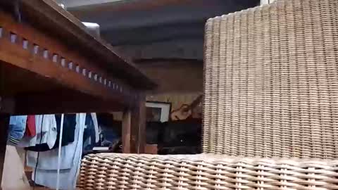 lobin666 online show from May 6, 9:43 am
