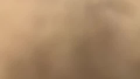 longiest online show from November 6, 2:36 am