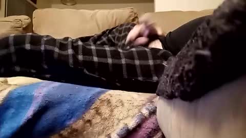 looking4bush online show from January 15, 6:06 am