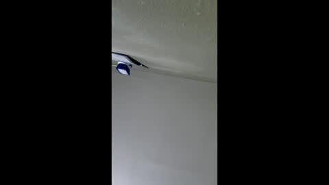 2791 3D online show from January 10, 8:29 am