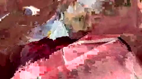 indian cum online show from January 12, 8:14 am