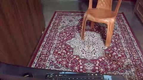 luci_ri online show from February 10, 2:11 pm