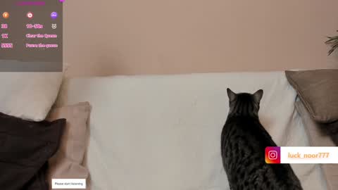 Noor online show from January 29, 5:35 pm