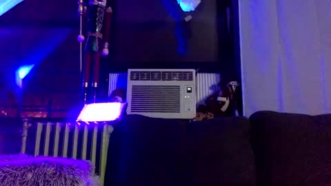 King420 online show from January 11, 5:20 am