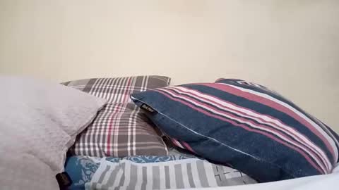 luckz01 online show from September 28, 3:54 pm