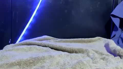 lurkus online show from December 21, 7:49 am