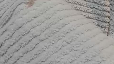 lustgardener67 online show from December 15, 7:24 am