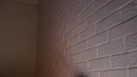 Hotandhairy online show from December 5, 7:27 am