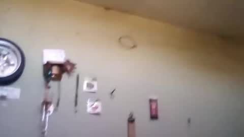 mackdog1369 online show from October 22, 4:54 pm