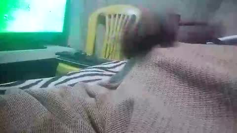 mad415264 online show from November 24, 3:51 am