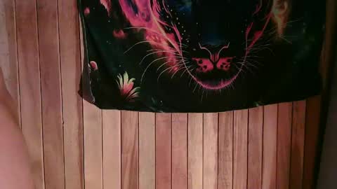 SILVA online show from February 22, 3:23 am