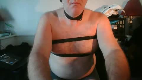 CommandbondageNipples bondage kink submissive lovense slave wgear. modequiethvyBondage If Password goldfish online show from March 3, 11:00 pm
