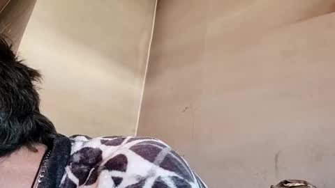 markinhobro online show from April 13, 2:29 pm