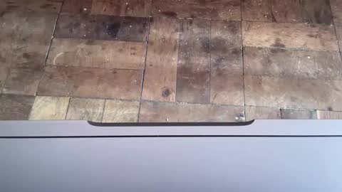 Martincito online show from February 19, 12:00 pm