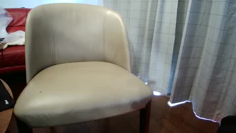 mas 333 online show from February 25, 2:54 pm