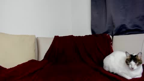 mattdevon7 online show from April 23, 3:33 am