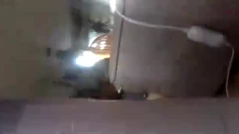 matureman1234 online show from October 26, 7:21 am