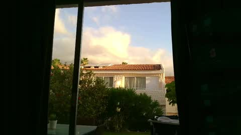 MAYKOL BROWN online show from April 14, 6:51 pm