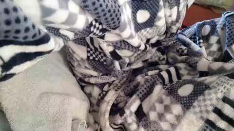 Snapshot of melacti2 chatting on January 23, 10:22 am melacti2 online show from January 23, 10:22 am