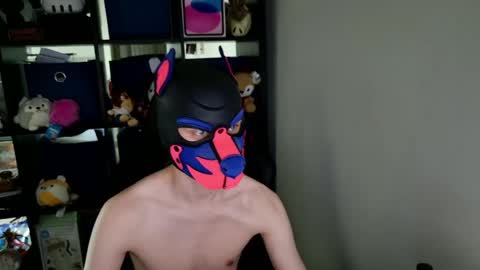 MellPUP online show from May 26, 3:41 pm