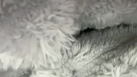 menarethebest123 online show from June 17, 2:46 am