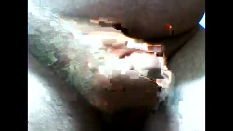 mexianthehawk online show from February 12, 3:51 am