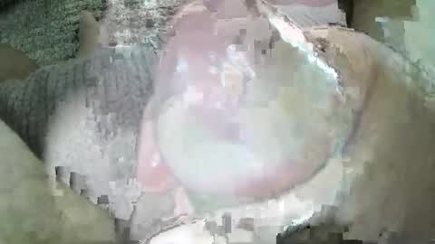 mexianthehawk online show from March 11, 12:28 am