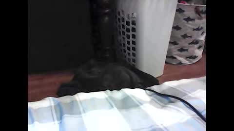 mi45419 online show from March 20, 6:39 am