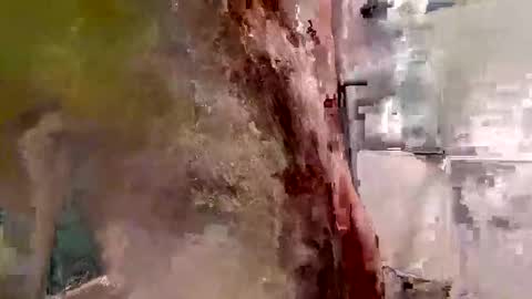 mickavis1975 online show from November 1, 6:12 pm