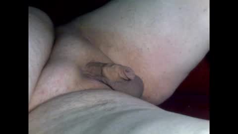 micropimmel online show from December 2, 9:40 pm