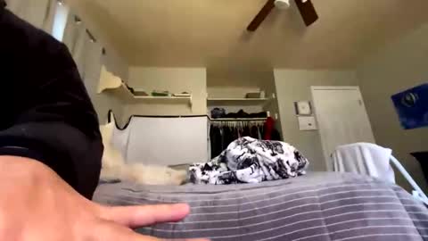 mik138 online show from January 7, 4:34 pm