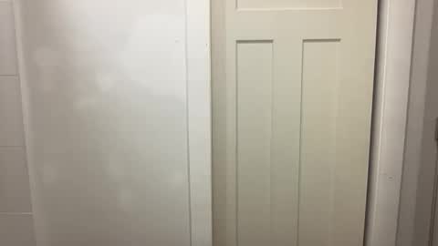 HungCollege online show from December 20, 4:19 am