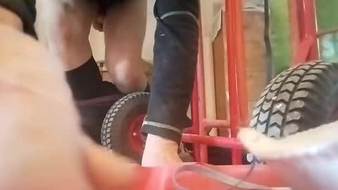 mip05 online show from January 30, 11:22 am