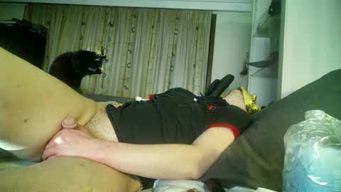 mirtoblack online show from February 8, 1:43 am