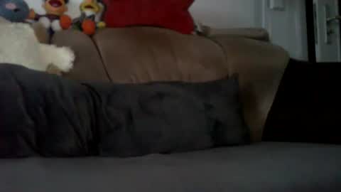 Mister livebiman online show from February 8, 7:14 am