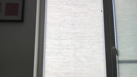 mko88951 online show from April 22, 10:53 am