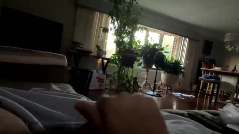 moethecheater7 online show from October 2, 10:25 pm