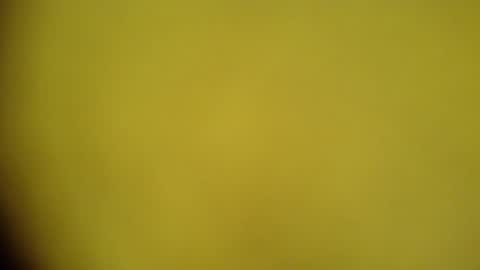 Snapshot of mohamedasif123 chatting on January 29, 6:22 am mohamedasif123 online show from January 29, 6:22 am