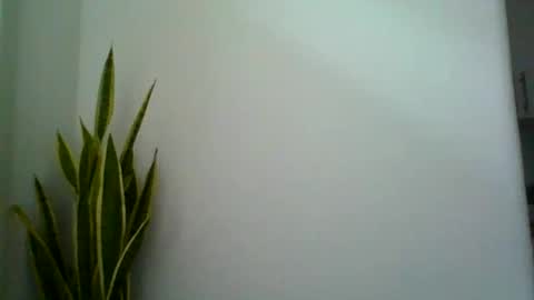 mollypepe online show from September 9, 9:42 am