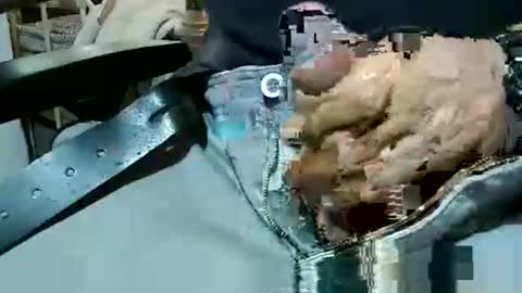 mon_za online show from November 26, 8:17 am