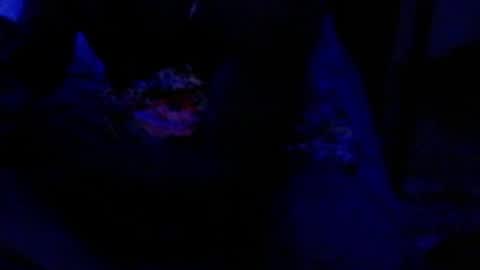 montydxxx2 online show from December 17, 4:35 pm