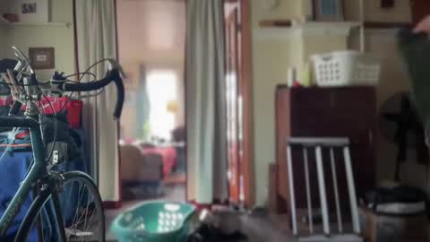 Moon online show from January 31, 4:17 pm