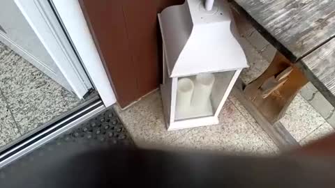 moos1 online show from September 12, 12:16 pm