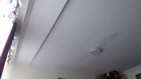 Abelardo online show from February 19, 6:54 pm