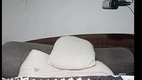 John john online show from November 27, 5:55 am