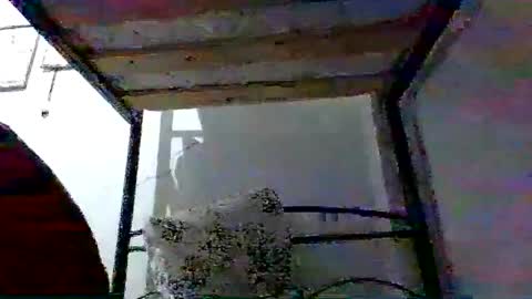 mppempis81 online show from December 4, 7:54 pm