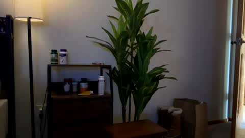 Sequoia-Cocked Hombre de Sur online show from February 1, 8:40 pm