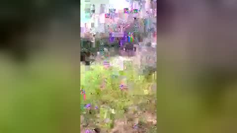 mrbrigggs online show from July 29, 12:48 pm