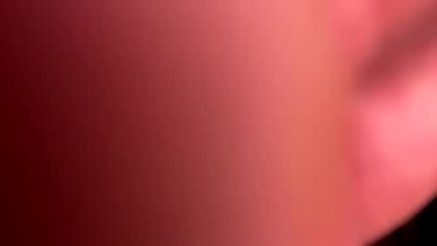 mrfrankfuckforfree online show from February 8, 9:46 am